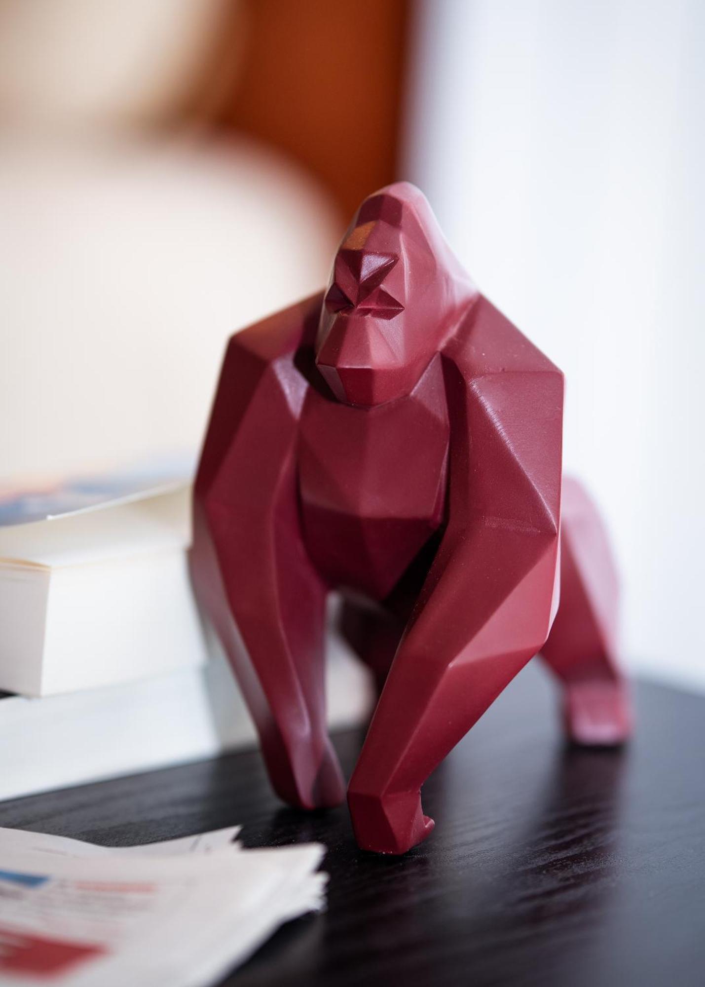 Charmant Studio Caluire Et Cuire - Lyon エクステリア 写真